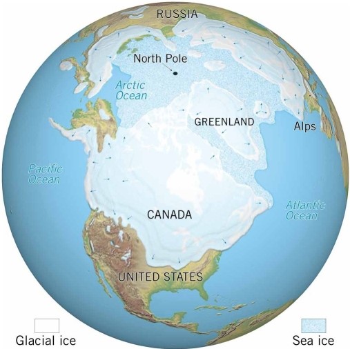   The ________ period of geologic time is depicted in this image.<div style=padding-top: 35px> 