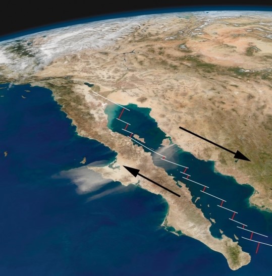 Examine the image of the Baja Peninsula of Mexico. Red lines indicated sections of oceanic ridge. White lines indicate transform faults. Black arrows indicate the direction of relative plate motion. Is it true or false to say this is a good example of a convergent plate boundary?