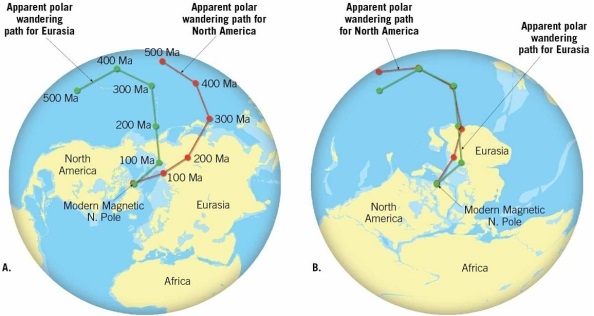 Which of these two sets of apparent polar wander paths shows the fixed continent model and which shows the plate tectonics model? Explain.
