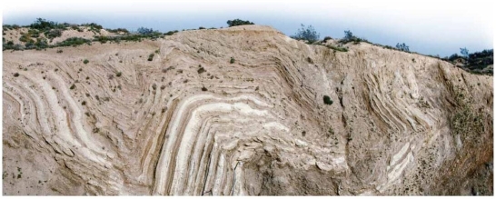   These rock layers in this photo have experienced elastic deformation.<div style=padding-top: 35px> 