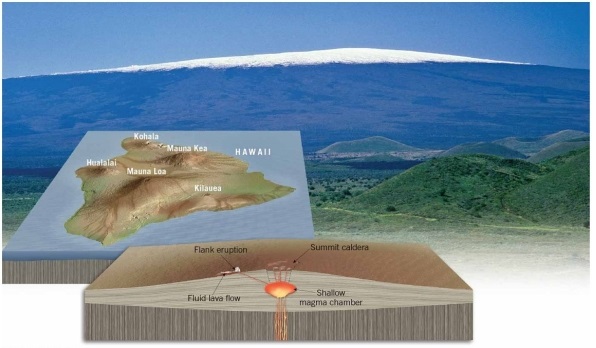 <strong> Mauna Loa, a volcano in Hawaii, is an excellent example of a ________.</strong> A)shield volcano B)cinder cone C)composite volcano D)volcanic neck