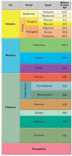 <strong> Examine the geologic timescale shown here. Which is the earliest period listed in the Mesozoic?</strong> A)Cambrian B)Permian C)Triassic D)Cretaceous