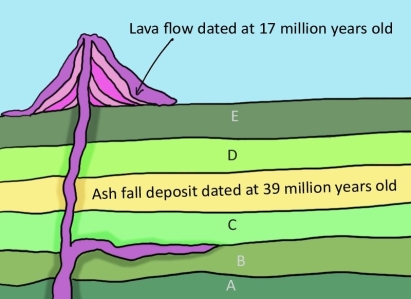 <strong> Use the geological cross-section to determine the age of rock layer D as precisely as possible.</strong> A)It is 40 million years old. B)It is between 39 million years old and 25 million years old. C)It is between 39 million years old and 17 million years old. D)It is older than 17 million years old.