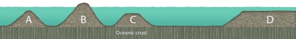 <strong>  Which of the four lettered locations in this figure shows a guyot?</strong> A)A B)B C)C D)D <div style=padding-top: 35px> 