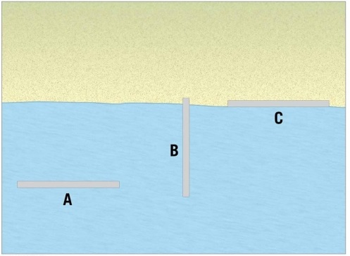 Examine the figure. Of the three forms of hard stabilization illustrated here, which one is the groin?