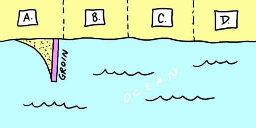 Examine the map shown here. You are considering buying property C on this stretch of coastline. Before signing the contract on the property, you hear that the owners of property B are considering building a groin like their neighbors recently did on property A. Should you reconsider your purchase? Explain.