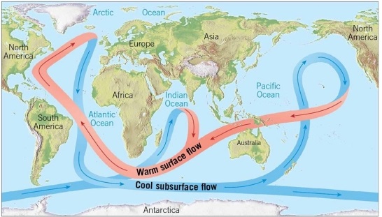 Climate change is particularly acute in the Arctic. Some scientists are concerned about the melting of the Greenland ice sheet because the extra water will cause sea level to rise around the globe. However, another concern is related to the thermohaline conveyer belt of ocean circulation. How might the melting of the Greenland ice sheet cause changes to that pattern of currents?