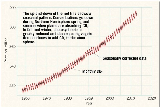   Examine the graph. Note that the explanatory label indicates that during the Northern Hemisphere summer, CO₂ concentrations decrease because plants consume that gas during photosynthesis. But when it is summer in the Northern Hemisphere, it is winter in the Southern Hemisphere. When it is winter in the Northern Hemisphere, it is summer in the Southern Hemisphere. Why doesn't the Southern Hemisphere summer show this same CO₂ drawdown?<div style=padding-top: 35px> 