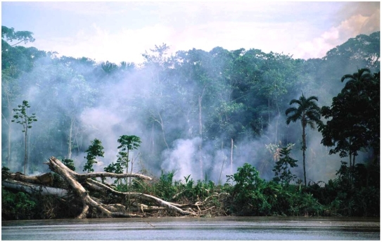   Explain how the events/processes depicted in this photo might influence climate.<div style=padding-top: 35px> 