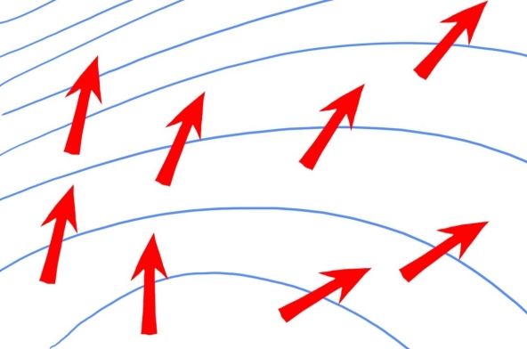 <strong> Examine this map view of isobars (blue lines)and wind directions (red arrows). Based on the information in this map, what kind of winds are these most likely to be?</strong> A)surface winds B)geostrophic winds C)winds on a non-rotating Earth D)Santa Ana winds