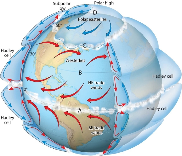 <strong> Examine the figure. Which of the four lettered latitudes would be the most likely site for clear skies?</strong> A)A B)B C)C D)D