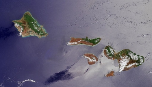 On the basis of vegetation patterns, cloud cover, and sea surface patterns (choppy or calm), identify the directions that the prevailing trade winds blow over the Hawaiian islands. Draw an arrow on this image to express your answer. NASA image