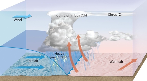 Examine the figure, and then evaluate the truthfulness of this statement: The figure shows a cold front.