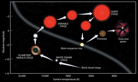 <strong>Which of the following four figures shows the correct set of arrows, corresponding to the evolution of a mid-sized star like Earth's Sun?</strong> A) B) C) D)