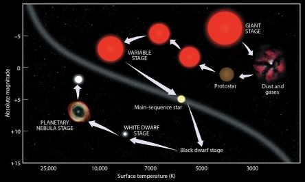 <strong>Which of the following four figures shows the correct set of arrows, corresponding to the evolution of a mid-sized star like Earth's Sun?</strong> A) B) C) D)
