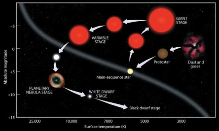 <strong>Which of the following four figures shows the correct set of arrows, corresponding to the evolution of a mid-sized star like Earth's Sun?</strong> A) B) C) D)