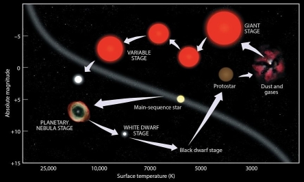 <strong>Which of the following four figures shows the correct set of arrows, corresponding to the evolution of a mid-sized star like Earth's Sun?</strong> A) B) C) D)