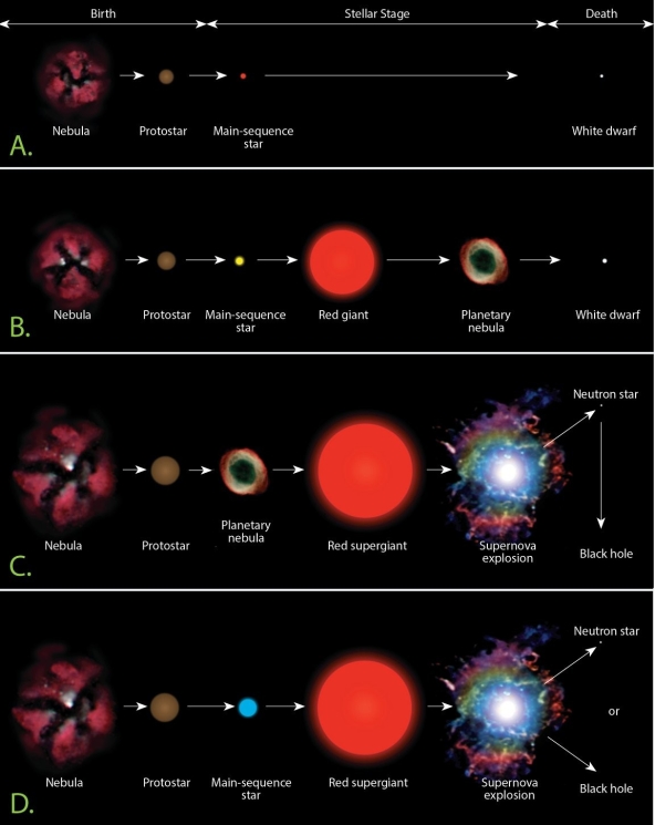 <strong> Examine the figure. Which of the four options shown here most closely matches the evolution of a high-mass star?</strong> A)A B)B C)C D)D