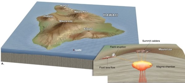 What type of volcano is shown in the diagram below?