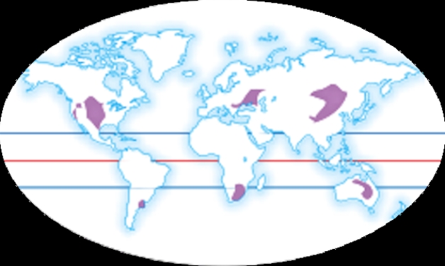 <strong> Which ecosystem is shown as shaded areas in this map?</strong> A)Tropical rain forests B)Desert C)Coniferous forests D)Temperate deciduous forests E)Temperate grasslands