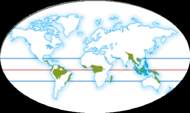 <strong> Which ecosystem is shown in the shaded areas of this global map?</strong> A)Coniferous forests B)Temperate Grasslands C)Tropical Rain Forests D)Temperate deciduous forest E)Desert