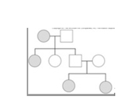 <strong>Figure: This figure shows a human pedigree.What is the genotype of the youngest members of the family (bottom row)?</strong> A)could be either homozygous dominant or heterozygous B)homozygous dominant C)could be either homozygous recessive or heterozygous D)homozygous recessive E)heterozygous