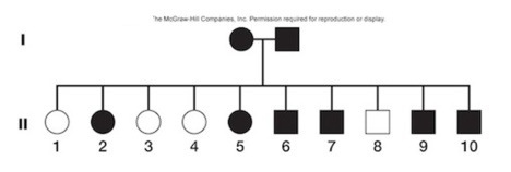<strong>Figure: This figure shows a human pedigree.What is the genotype of the mother in this pedigree?</strong> A)could be homozygous recessive or heterozygous B)heterozygous only C)homozygous recessive only D)homozygous dominant only E)could be homozygous dominant or heterozygous