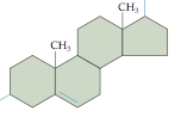 <strong>h The four rings in molecule shown contain only carbon and hydrogen atoms.This molecule is a type of ____.</strong> A)steroid B)fatty acid C)amino acid D)nucleotide E)phospholipid