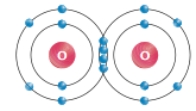 <strong>  This diagram shows that two oxygen atoms interact</strong> A)to form one covalent bond. B)to form two covalent bonds. C)to form four covalent bonds. D)to form an ionic bonD. E)to form hydrogen bonds. <div style=padding-top: 35px> 