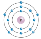 <strong>  This diagram shows an atom of phosphorus.How many electrons are in the valence shell?</strong> A)2 B)4 C)5 D)6 E)8 <div style=padding-top: 35px> 
