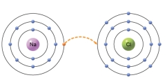 <strong>What kind of interaction is shown between sodium and chlorine?  </strong> A)The sodium atom gives up one proton. B)The sodium atom gives up one neutron. C)The chlorine atom gives up one neutron. D)The chlorine atom gives up one electron. E)The sodium atom gives up one electron. <div style=padding-top: 35px> 