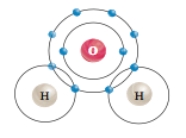 <strong>  What type of chemical bond occurs specifically between one hydrogen atom and one oxygen atom in a water molecule?</strong> A)a polar covalent bond B)an ionic bond C)hydrogen bond D)a nonpolar covalent bond E)a hydrophobic interaction <div style=padding-top: 35px> 