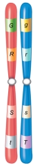 <strong>Which of the following is true about an individual with the chromosomes shown in this figure? </strong> A) All offspring will have the dominant phenotype for each trait. B) All offspring will have the recessive phenotype for each trait. C) A maximum of 4 different gametes are possible with 4 traits. D) The individual is heterozygous for all traits. E) The individual is homozygous for at least one trait.