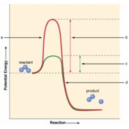 <strong>Which of the areas shown in the figure below indicates the presence of an enzyme in the movement of reactant over to product? </strong> A) a B) b C) c D) d
