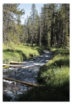 <strong>This photo is an example of a(n) </strong> A) population. B) community. C) ecosystem. D) biosphere. E) equilibrium population.