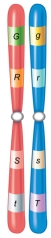 <strong>Which of the following is true about an individual with the chromosomes shown in this figure? </strong> A) All offspring will have the dominant phenotype for each trait. B) All offspring will have the recessive phenotype for each trait. C) A maximum of four different gametes are possible with four traits. D) The individual is heterozygous for all traits. E) The individual is homozygous for at least one trait.