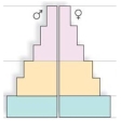 <strong>In a population with low death rates,this age structure diagram indicates that </strong> A)the population is decreasing. B)the population is stable. C)the biotic potential must be larger than usual. D)the population will continue to grow for some time.