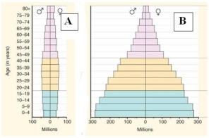 <strong>Which of these diagrams represents an age structure diagram of more-developed countries? </strong> A)Diagram A B)Diagram B