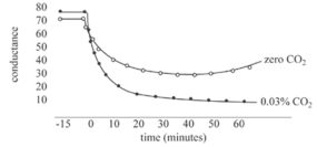 <strong>Stomate closure in darkened environment,at time zero,with air (0.03% CO<sub>2</sub>)or CO<sub>2</sub>-free airflow through leaf.(Note: A decrease in conductance indicates inactivation of the proton pump.) </strong> A)Supports both Hypothesis I and II. B)Supports only Hypothesis I. C)Supports only Hypothesis II. D)Supports neither hypothesis.