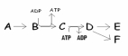 <strong>Identify the graph that depicts the reaction C \rightarrow </strong> A) B) C)