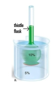A 10% glucose solution is placed in the thistle tube.The thistle tube is placed in a beaker that contains a 5% glucose solution.Where is the highest concentration of water found?