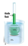 A 10% glucose solution is placed in the thistle tube.The thistle tube is placed in a beaker that contains a 5% glucose solution.There is a differentially permeable membrane across the broad end of the tube,which is permeable to water but not to the sugar glucose.As diffusion occurs: