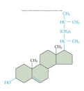 <strong>Identify the following molecule: </strong> A)amino acid B)hydrocarbon C)carbohydrate D)alcohol E)cholesterol