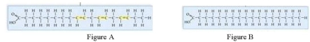 <strong>Which Figure is that of an unsaturated fat? </strong> A)Figure A B)Figure B