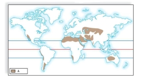 Identify the biomes labeled A, B and C in the maps. Describe the general locations and climate in each biome.