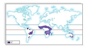 Identify the biomes labeled A, B and C in the maps. Describe the general locations and climate in each biome.