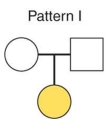 <strong>The pedigree chart depicts the inheritance pattern of ____. Circles depict females and squares depict males. Colored shapes represent affected individuals (expressing a trait) and uncolored shapes are unaffected (do not express a trait). </strong> A) an autosomal recessive characteristic with both parents being heterozygous B) an autosomal dominant characteristic with both parents being homozygous dominant C) an autosomal recessive characteristic with both parents being homozygous recessive D) none.
