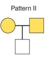 Answers may vary. This figure depicts the pattern of an autosomal dominant characteristic. The parents are heterozygous, and are affected because of the dominance of the trait. The offspring has received the recessive trait from both parents and is therefore not affected.