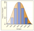 The pattern takes the shape of a bell-shaped curve, or a normal distribution pattern. The graph should resemble the one depicted.  