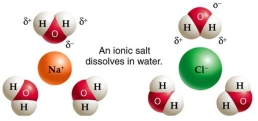 Draw several (5 or 6) individual, unbonded water molecules. Simulate what happens when table salt (Na<sup>+</sup>Cl<sup>-</sup>) is added to water. Use the model you created to explain why salt is added to the roads in a 'snowy', cold climate.